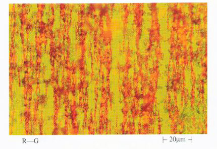 利用分析式铁谱仪观察到的大量红色氧化物磨粒图像